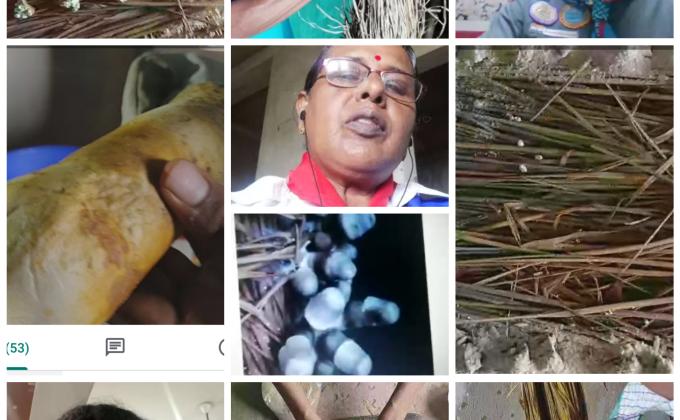 Atmanirbhar Bharat project 1 (Mushroom cultivation)