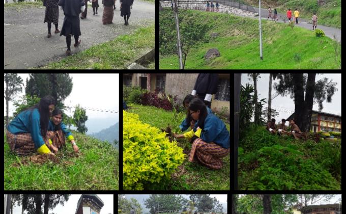 Social Foresty day