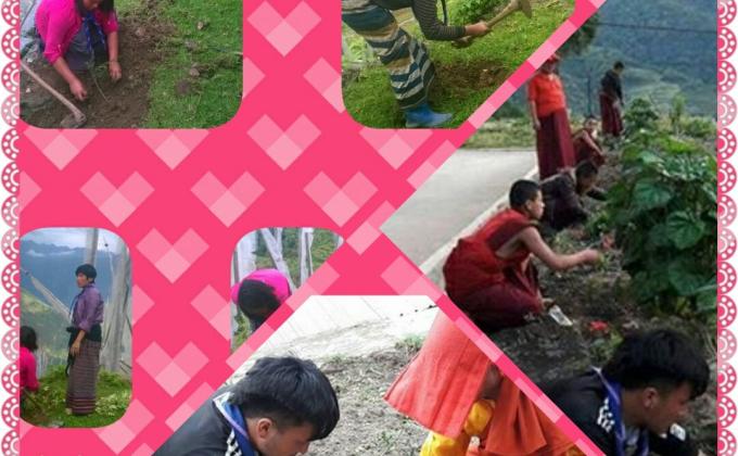 mark world environment day on the theme lend your hands to save the trees.