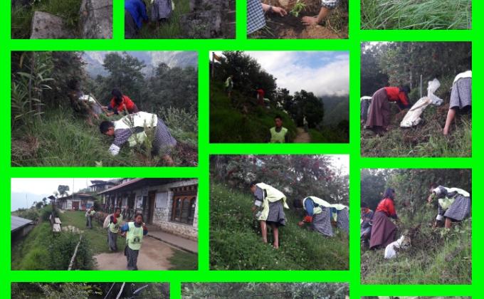 celebrate the social forestry day