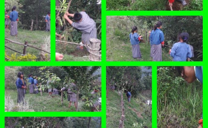 celebrates Gyeltshen's (Her Majesty's birthday)birthday by planting