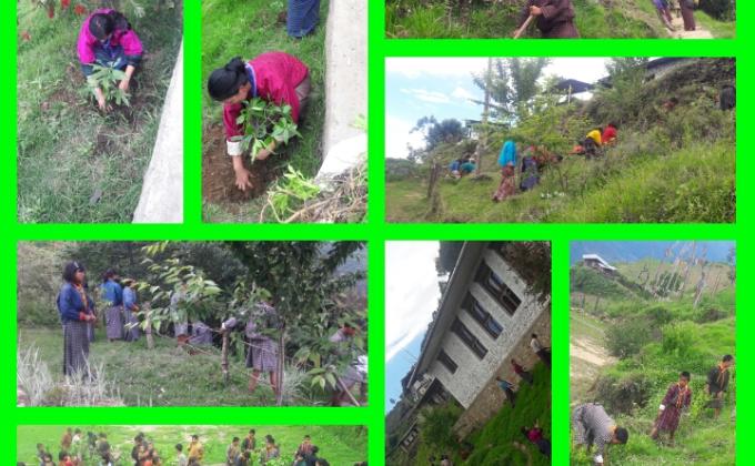 celebrate world environment day