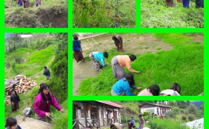 community partnership in school