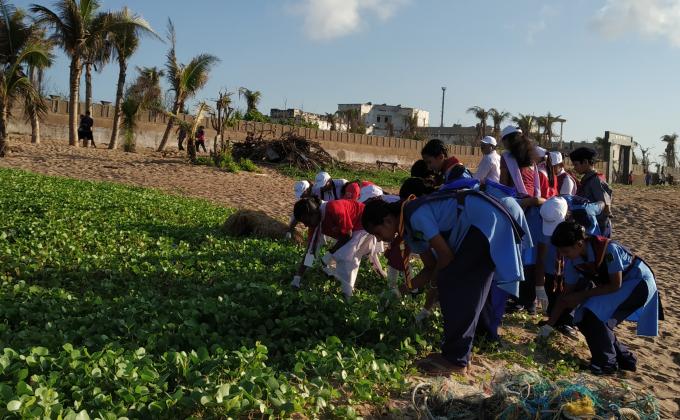 Beach cleaning