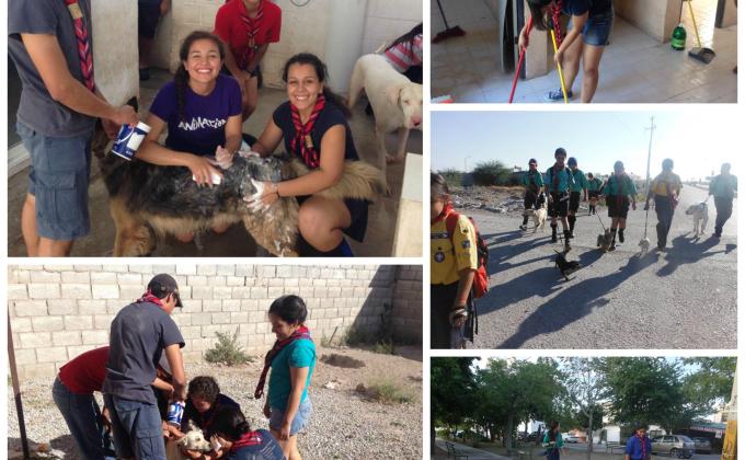 Rescate Canino