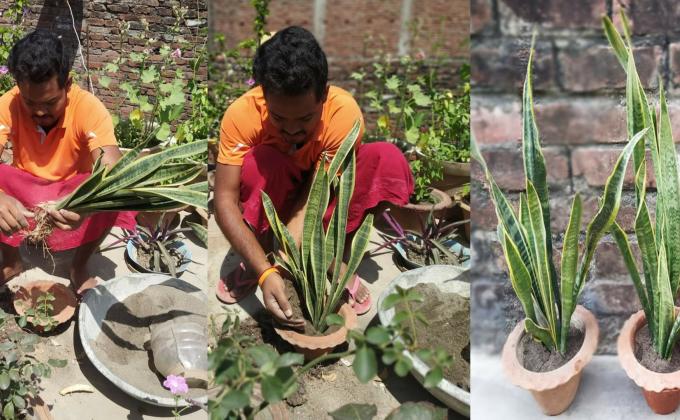 Project Sankalp, [A] Health and Well Being, Challenge 2 - #StayHome