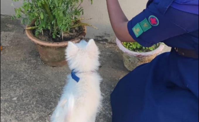 Sankalp 2.o Lockdown garden 