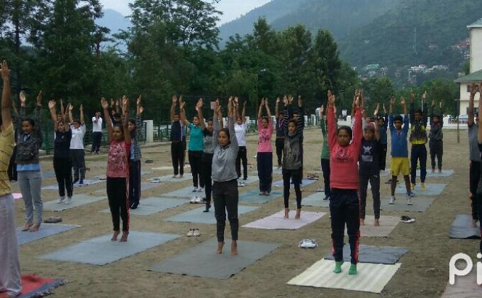 Celebrate International yoga day