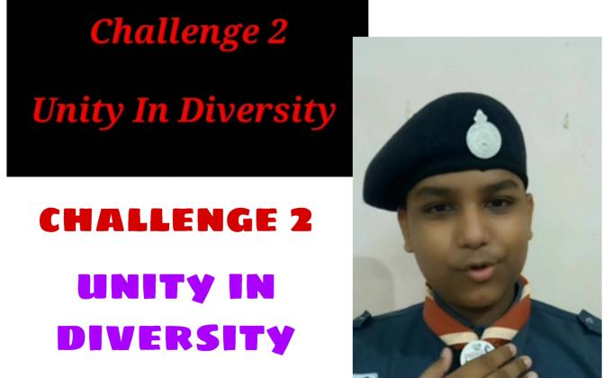Udaan Project || Challenge 2 || Unity in Diversity 