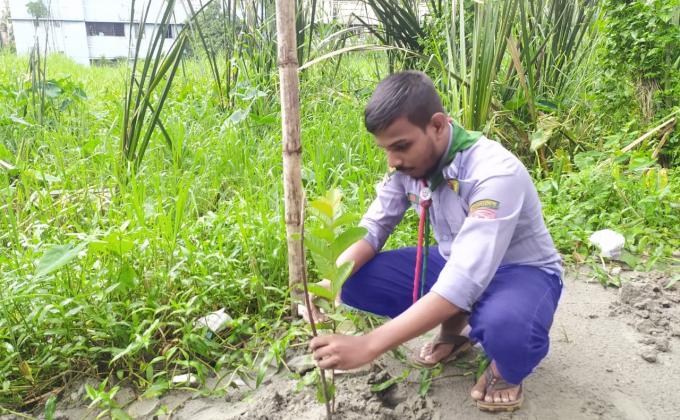 বৃক্ষ রোপণ