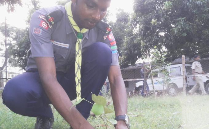 TREE PLANTATION