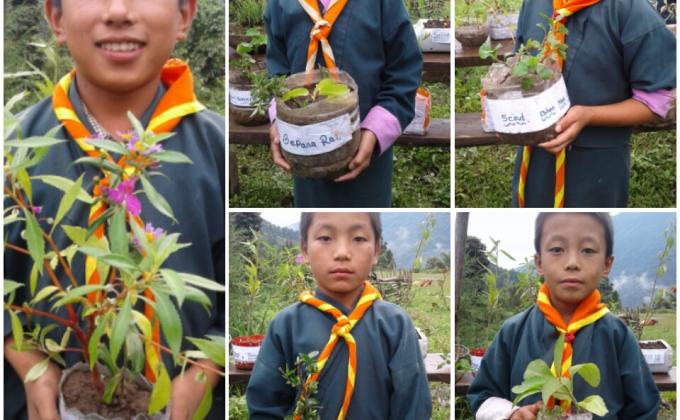 "One Cub, One Flower" Initiative 