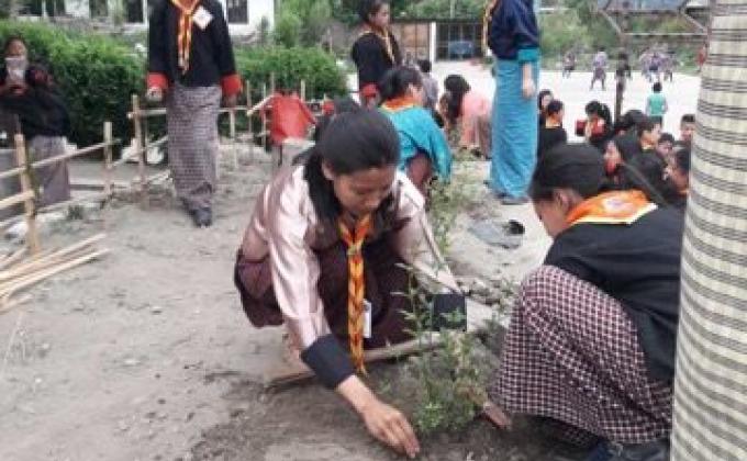 Plantation of a Tree