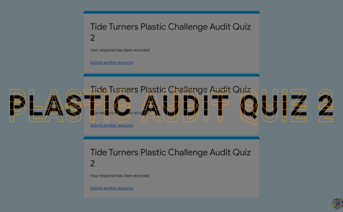 Plastic Audit Quiz 2 [TTPC]