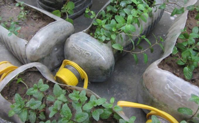 প্লাস্টিকের পুনর্ব্যবহার এর আইডিয়া #PTTCBadgeBDScouts  #EarthTribe