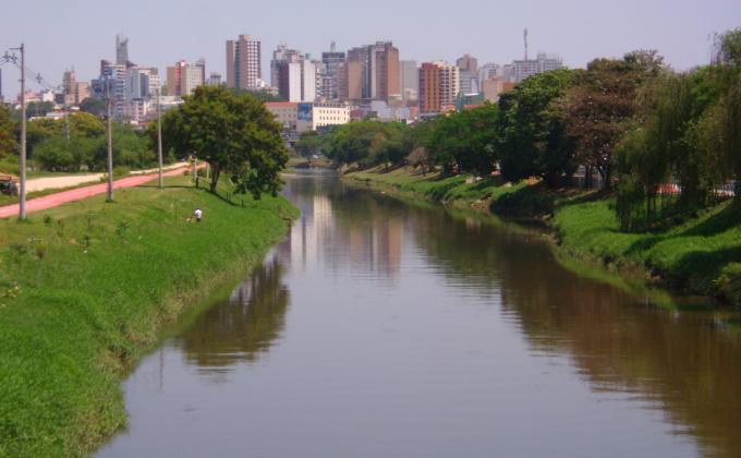 Reflorestamento da Mata Ciliar em Sorocaba - SP / Riparian Reforesting in Sorocaba - SP, Brazil
