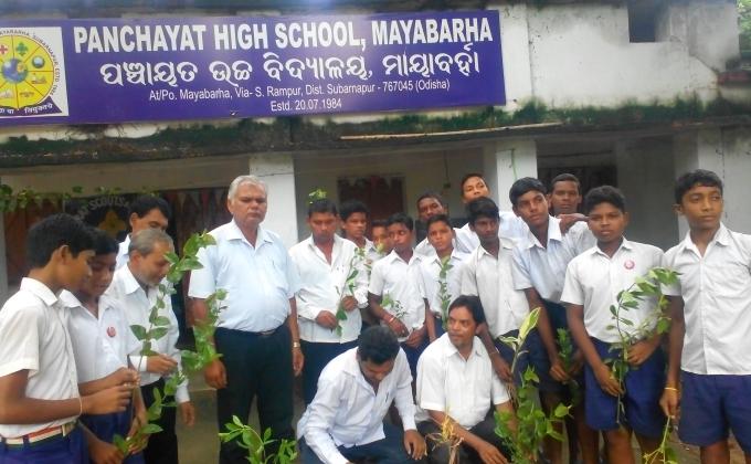 PLANTATION PROGRAMME