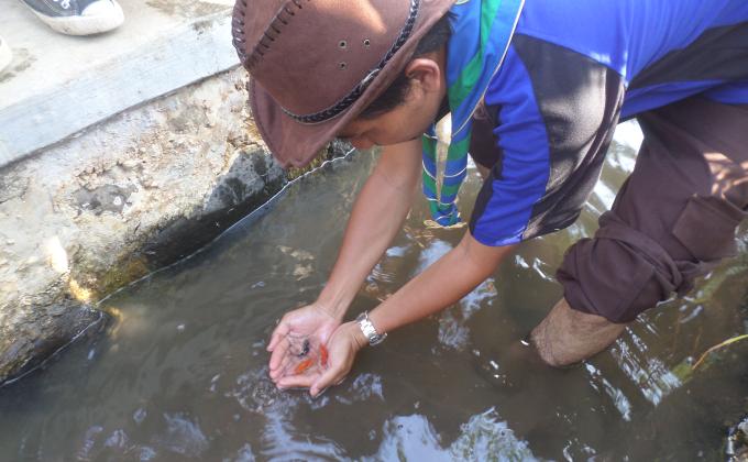 #Save Fish  in the River