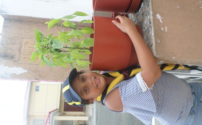 REFORESTACION, PLAYATON, PLOGGING Y EL AMOR AL MEDIO AMBIENTE