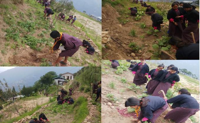 School Agriculture Work (4/6/2021)