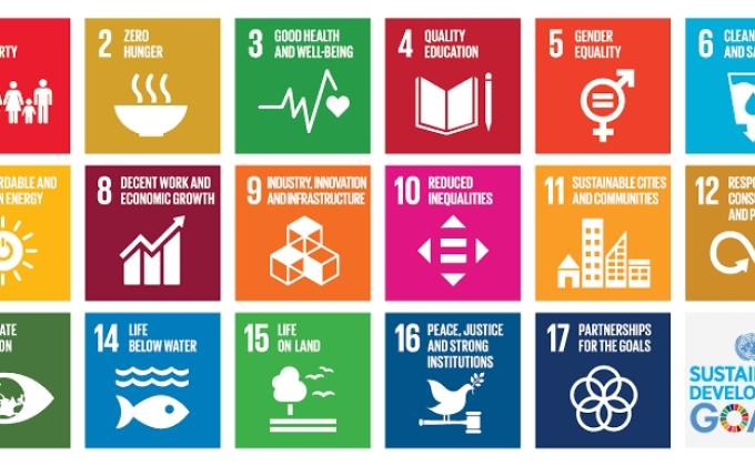 Sustainable development goals