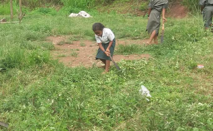 scout clean up campaign