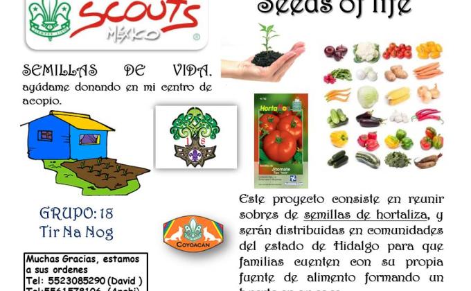 seeds of life (semillas de vida)