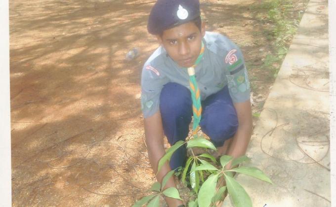 PRESERVATION OF GREENARY
