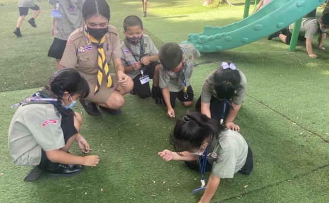 บำเพ็ญประโยชน์เก็บขยะและเศษใบไม้