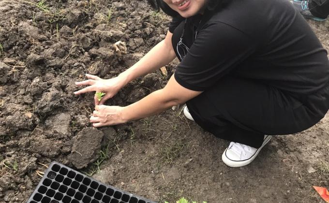 กิจกรรมปลูกดอกดาวเรือง