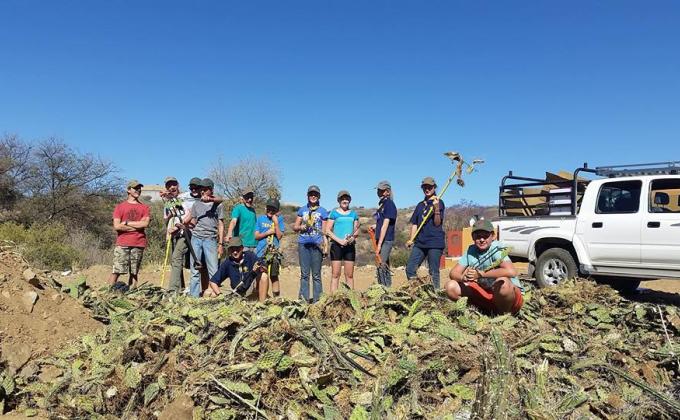 Cacti Clean-Up