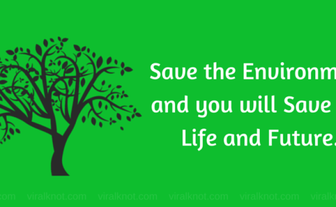 tree plantation