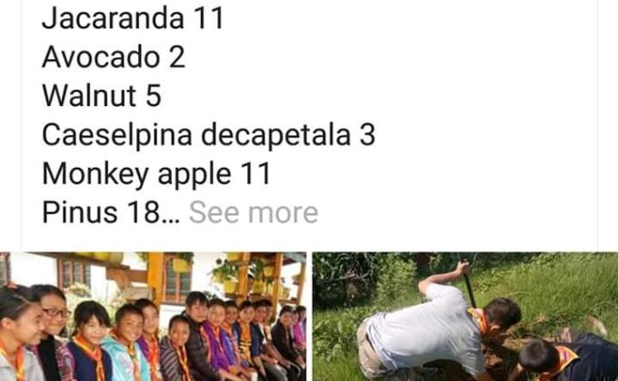 Planting for Better Future