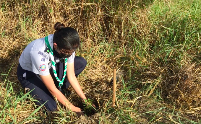 Plant A Tree, Green The Earth Project