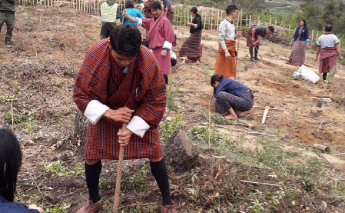 Plantation at Pangbisa