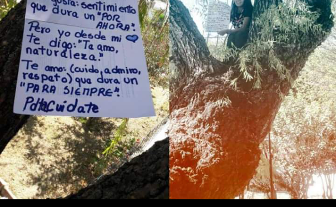 Un mensaje a mi tierra.