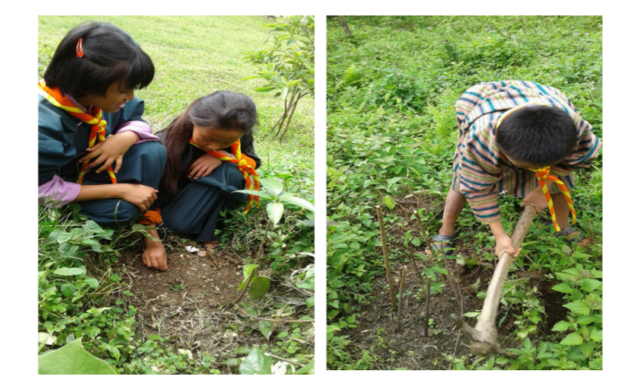 Promoting Green Planet by Planting Trees