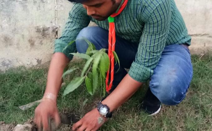 Tree plantetion