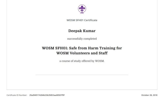 Safe from Harm course 