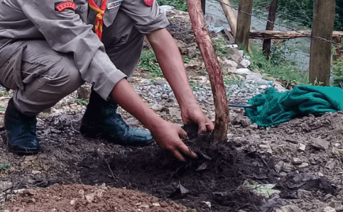 Planting plants