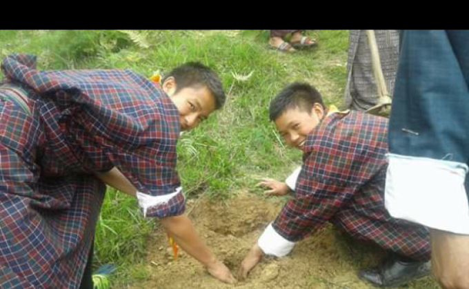 plantation of tree on social foresty day