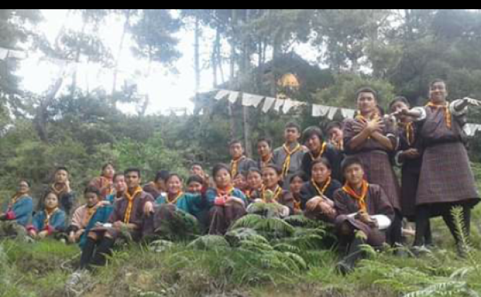 tree plantation