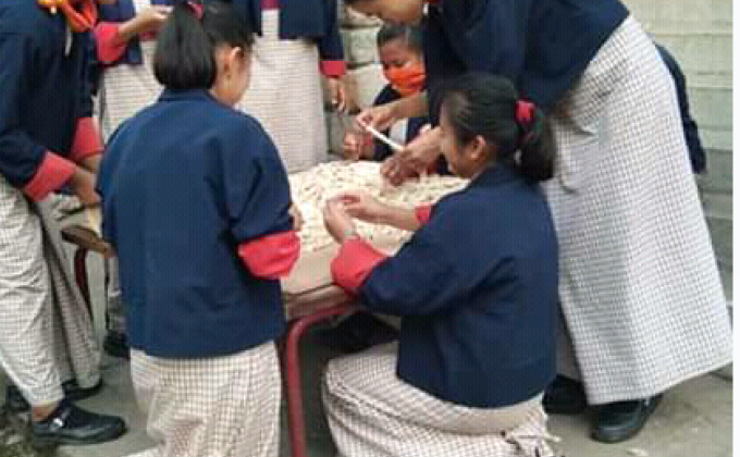School Rimdo