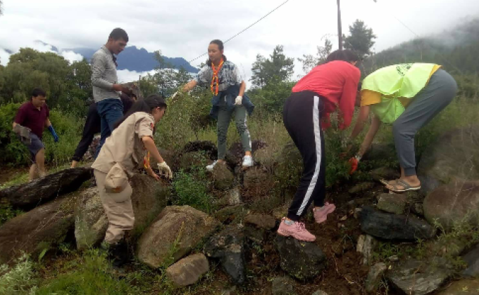  marijuana uprooting