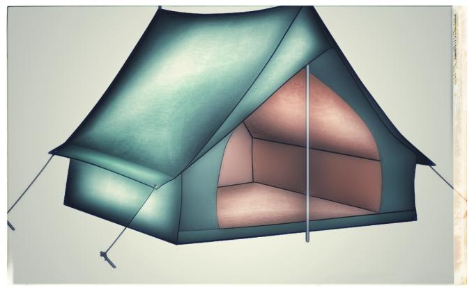 Better World Framework Briefing and 30-Day Camp