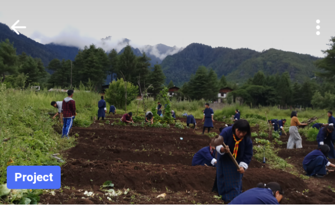 voluntered in agricultural services