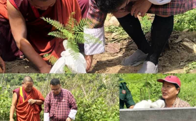 Social forestry day. June 2nd  2019