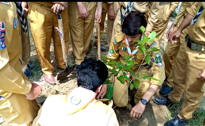Clean and Green Independence Day Celebrations