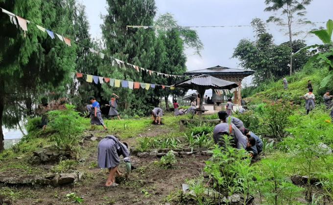 Scout garden