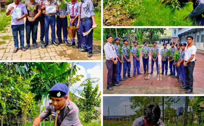 Tree Plantation Project (International Peace Day 2019)